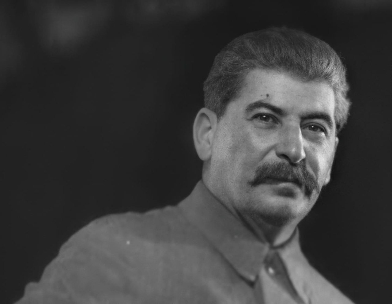 Preview “Stalin Está Conosco Novamente”