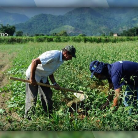 Prioridades de Apoio no Desenvolvimento Rural