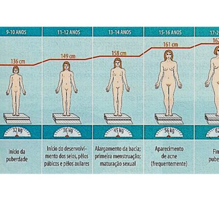 Um Método Simples Descoberto para Retardar Alterações Cerebrais Relacionadas à Idade