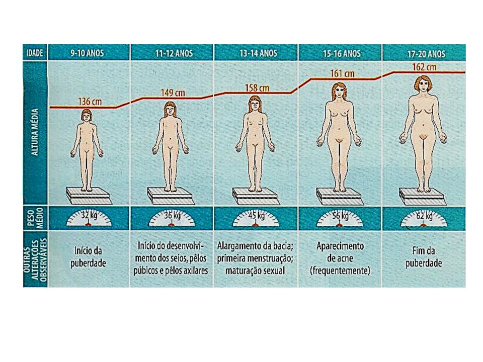 Preview Um Método Simples Descoberto para Retardar Alterações Cerebrais Relacionadas à Idade