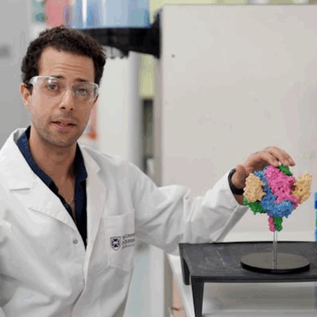 Desenvolvido Anticorpo Capaz de Neutralizar Vírus Nipah e Hendra