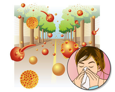 Encontrado Método para Combater Alergia Sazonal