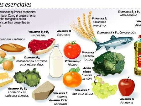 Nutrientes Essenciais e Dor Crônica: Uma Conexão Revelada