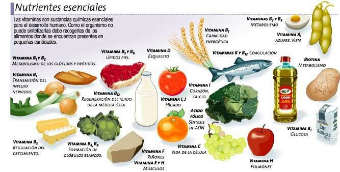 Preview Nutrientes Essenciais e Dor Crônica: Uma Conexão Revelada