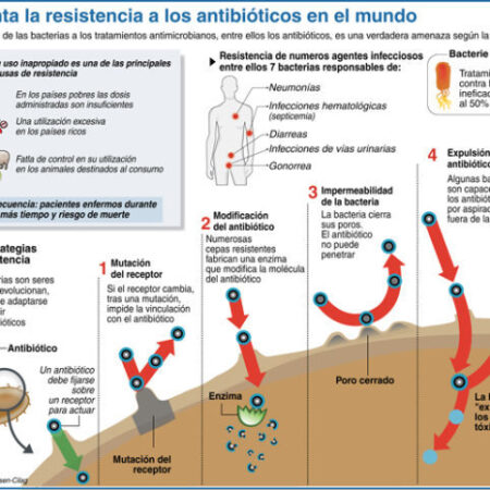 Confirmado o Grave Perigo da Resistência a Antibióticos