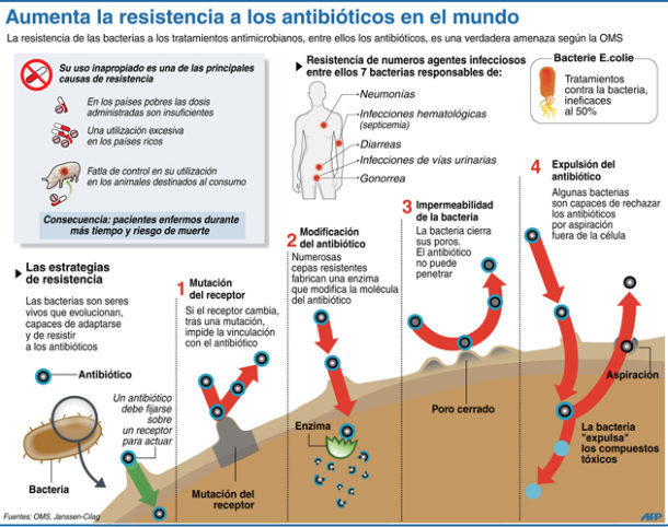 Preview Confirmado o Grave Perigo da Resistência a Antibióticos