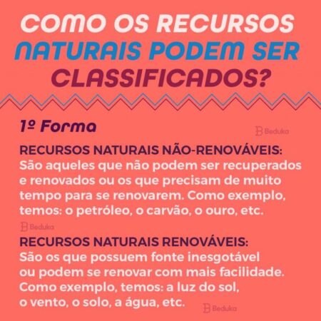 O Ministério dos Recursos Naturais da Rússia Introduz Plataformas Eletrônicas para Recicláveis