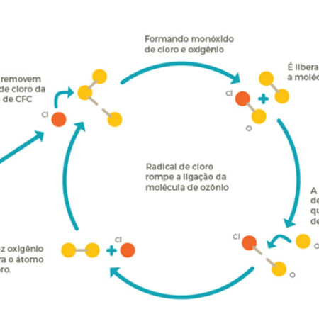 O Impacto Inesperado dos Refrigerantes na Imunidade