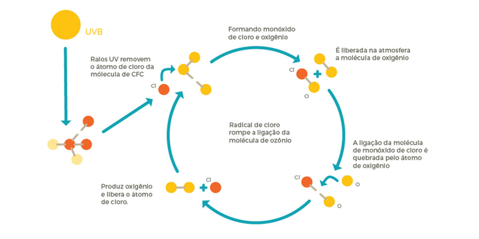 Preview O Impacto Inesperado dos Refrigerantes na Imunidade
