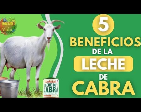 Benefícios Surpreendentes do Leite de Cabra Descobertos