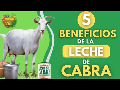 Preview Benefícios Surpreendentes do Leite de Cabra Descobertos