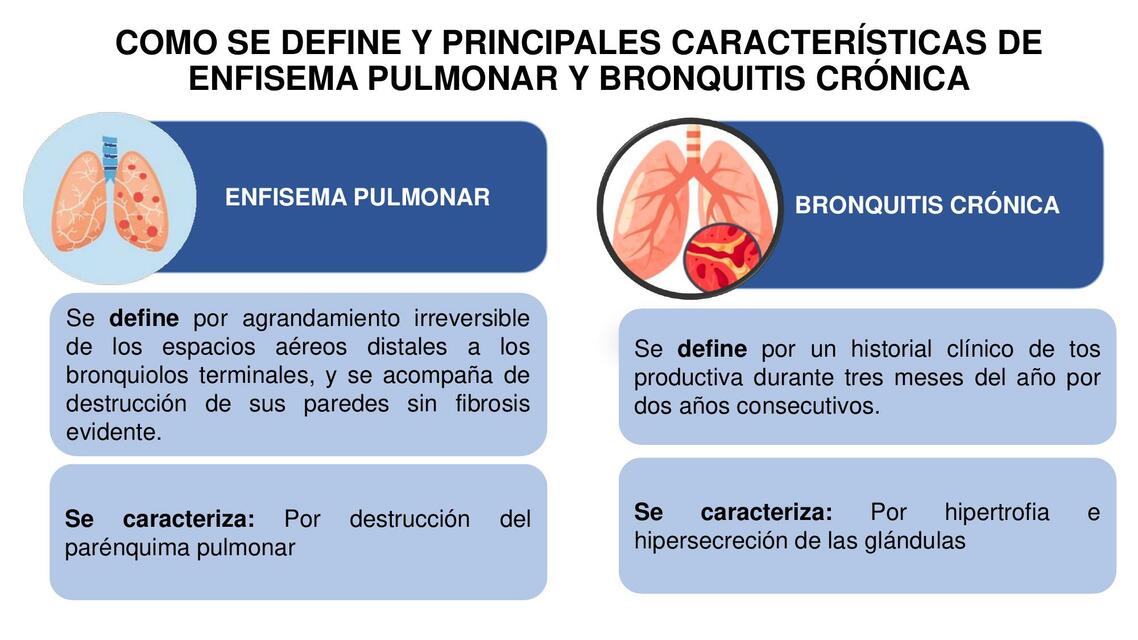 Preview Cientistas Desenvolvem Teste Rápido para Detecção de Doença Pulmonar Crônica