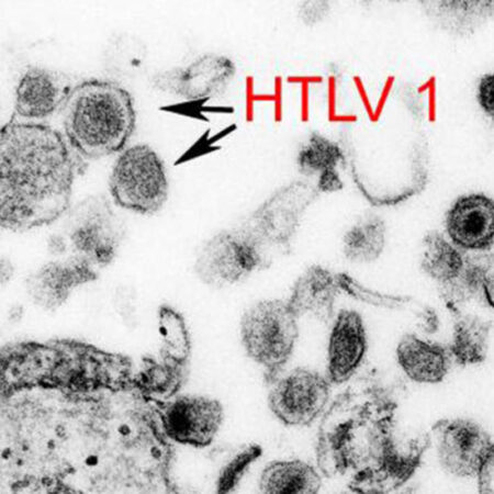Avanço Revolucionário: Descoberto Método para Combater Vírus HTLV-1 Perigoso