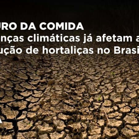 Os Responsáveis pelas Mudanças Climáticas Serão Identificados