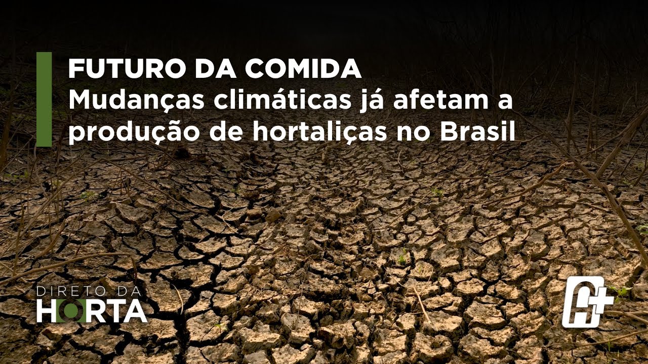 Preview Os Responsáveis pelas Mudanças Climáticas Serão Identificados