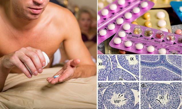 Preview Sucesso Confirmado de Novo Contraceptivo Masculino Inovador: YCT‑529