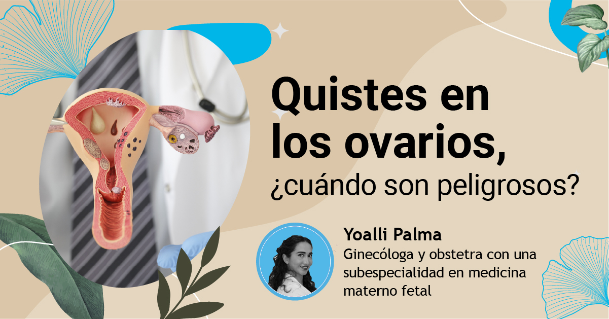 Preview Um Avanço no Tratamento do Cancro do Ovário: Uma Nova Abordagem Terapêutica