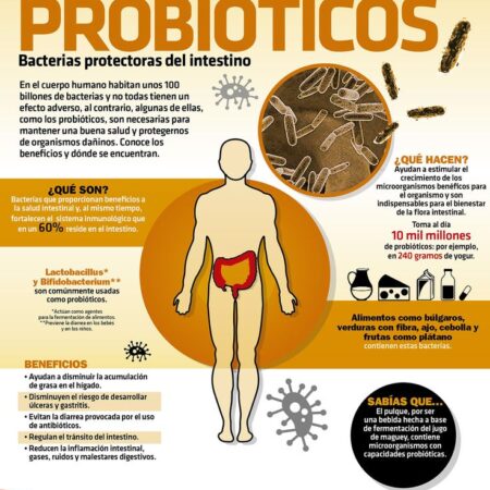 Bactérias ‘Domesticadas’ Produzem Medicamentos Contra Infecções Hospitalares