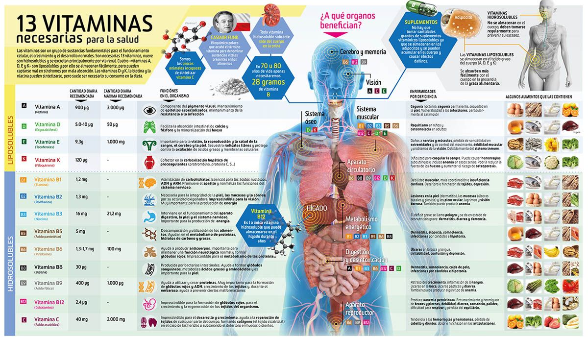 Preview Ações Surpreendentes das Vitaminas do Complexo B Reveladas por Especialistas