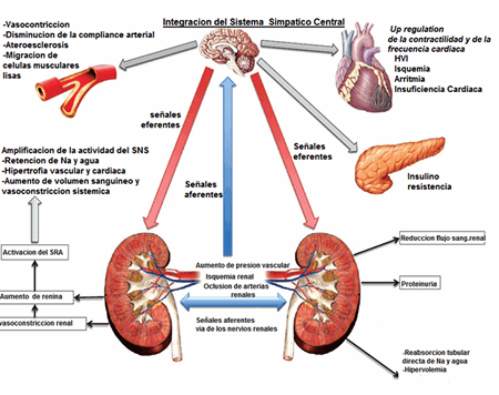 Conexão Inesperada: Doença Renal e Perda Dentária