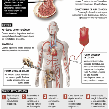 Descoberta Combinação Poderosa de Medicamentos Contra o Câncer no Sangue