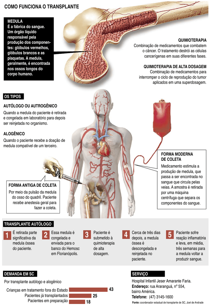 Preview Descoberta Combinação Poderosa de Medicamentos Contra o Câncer no Sangue