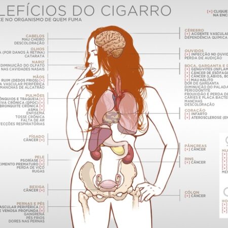 Revelada a Causa do Envelhecimento Precoce do Cérebro
