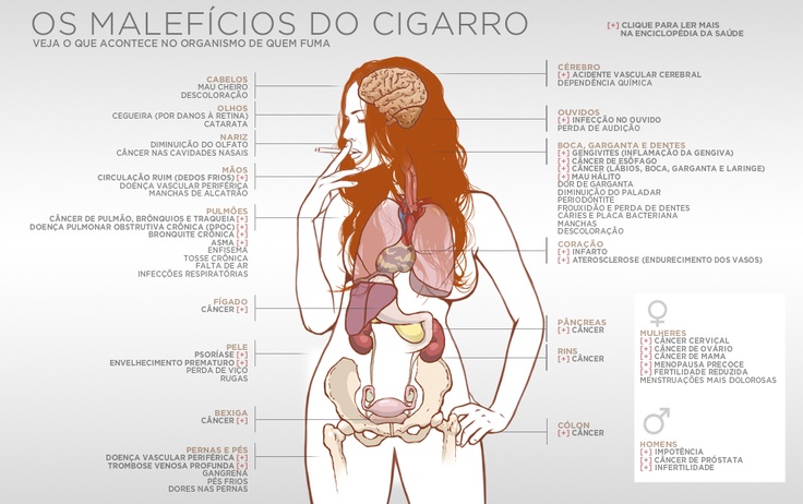 Preview Revelada a Causa do Envelhecimento Precoce do Cérebro