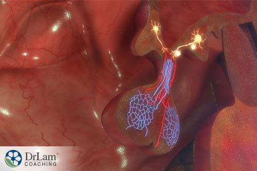 Preview Nova Abordagem no Combate a Tumores Resistentes
