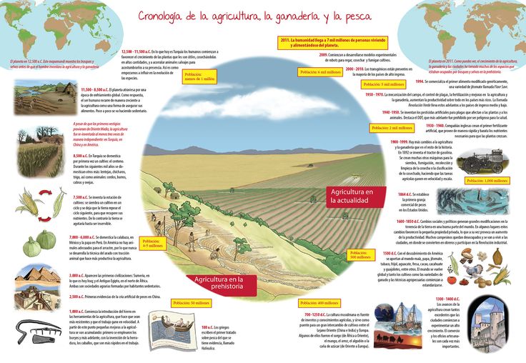 Preview Ministério da Agricultura Russo Desenvolve Novas Regras de Subsídio para o Desenvolvimento do Complexo Agroindustrial nas Regiões