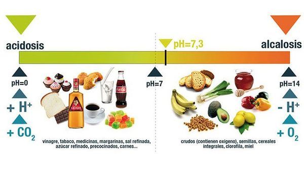 Preview Sacalina Anuncia Antecipação da Neutralidade de Carbono