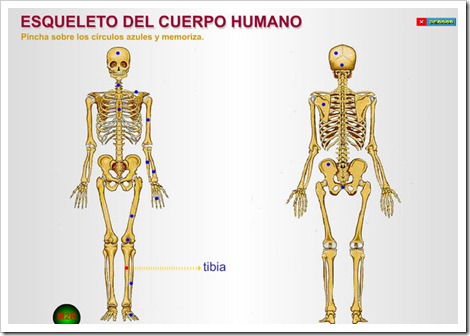 Preview Cientistas Encontram Vasto Depósito de Esqueletos de Baleias e Focas na Terra de Francisco José