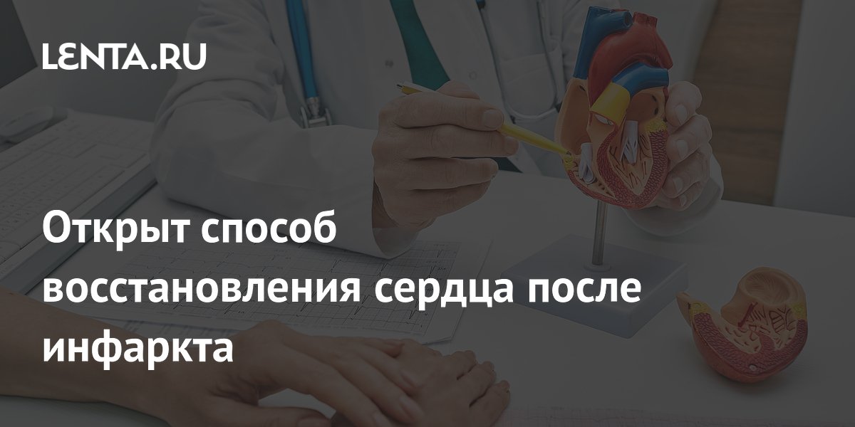 Preview Открыт инновационный метод восстановления сердца после инфаркта