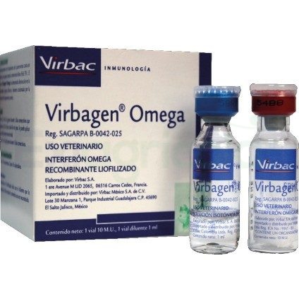Preview Avanço na Prevenção da Gripe: Cientistas Russos Criam Interferon de Tipo III Único