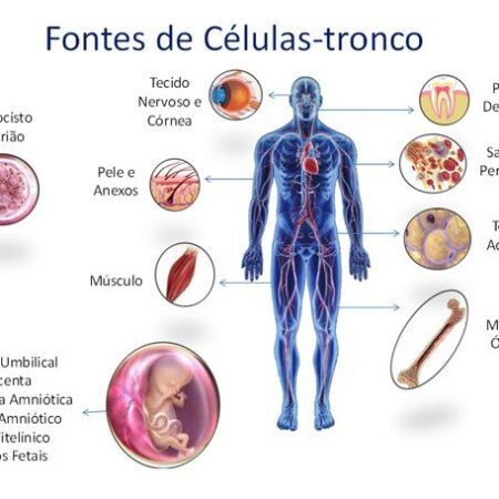 Vacina Anticâncer Criada a Partir de Células-Tronco