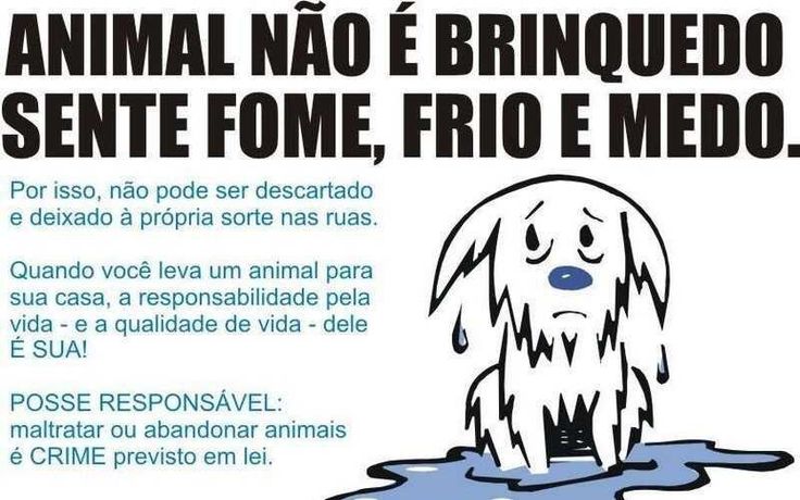 Preview Desmistificado: Proteína Animal Não Aumenta Risco de Morte Prematura