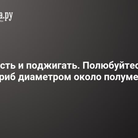 Descoberta Surpreendente: O Cogumelo Gigante Calvatia Gigantea em Kamchatka