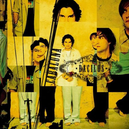 Bacilos: Uma Nova Perspectiva para a Melhoria da Fertilidade do Solo