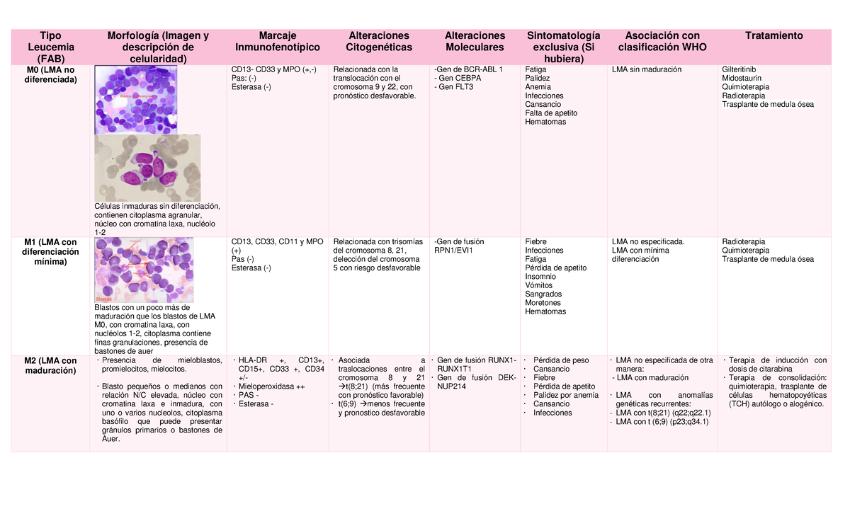 Preview Novo Método Eficaz Contra a Leucemia Mieloide Aguda é Descoberto