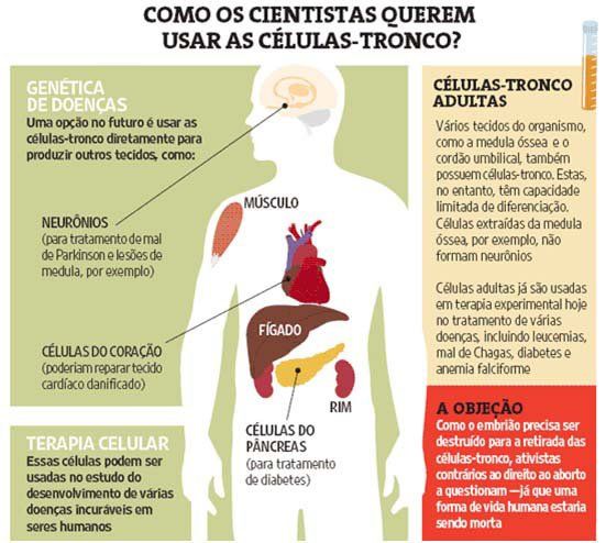 Preview Biosensores e Órgãos Impressos. Cientistas Falam Sobre o Futuro da Medicina
