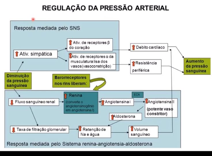 Preview Regulação da Pressão Arterial Sem Medicamentos: Uma Nova Abordagem