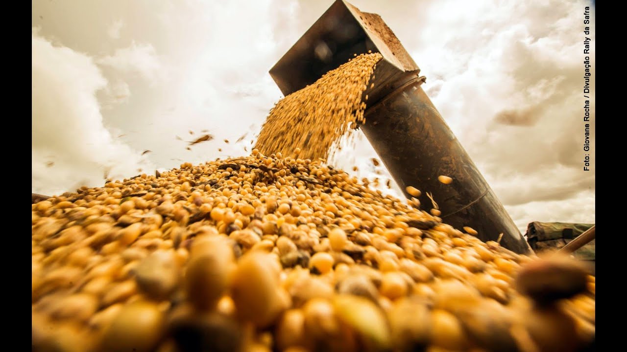 Preview Exportação de Produtos Agrícolas da Rússia Atinge US$ 45 Bilhões em 2024