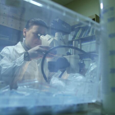 Ученые исследовали механизм трансформации минерала из Арктики