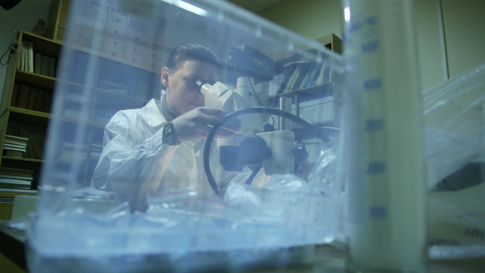 Preview Ученые исследовали механизм трансформации минерала из Арктики