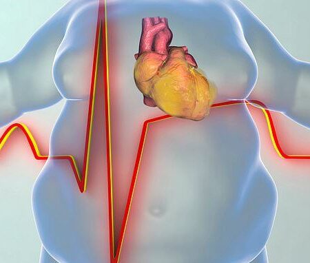 Неожиданный фактор старения сердца: где накапливается жир