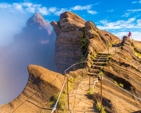 Cientista Preve Deslocamento do Pico da Temporada de Carrapatos