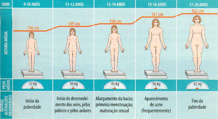 Preview Cenários de Desenvolvimento Econômico da Rússia para os Próximos Três Anos Apresentados pelo Banco Central