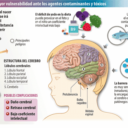 Adoçantes: Uma Conexão Inesperada com o Envelhecimento Cerebral