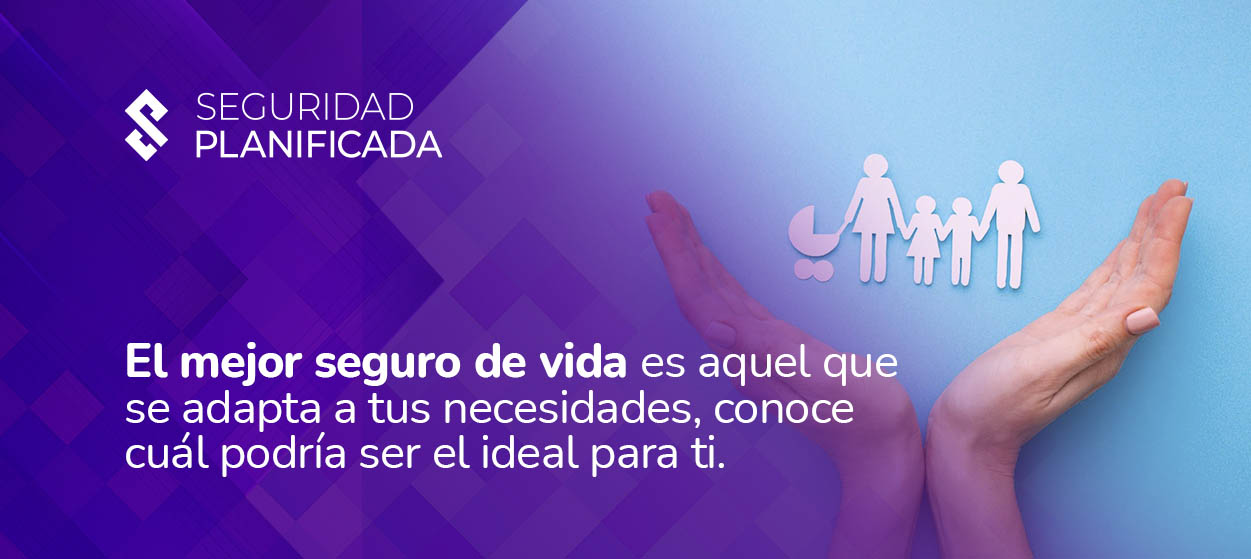 Preview Seguros de Vida Acumulativos: Crescimento Impulsionado por Deduções Fiscais e Garantias