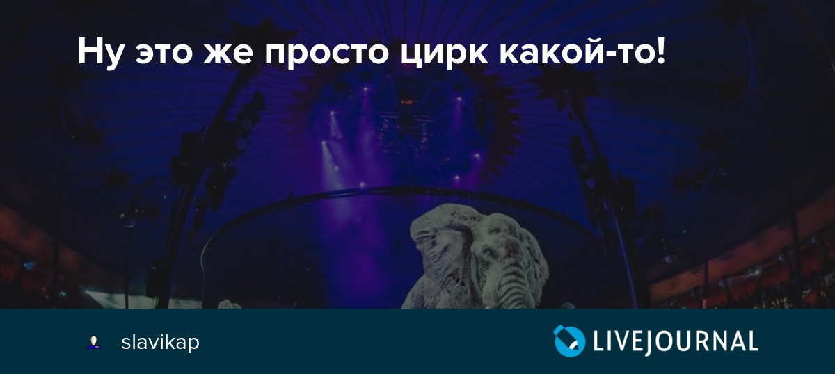 Preview Ну просто цирк!..